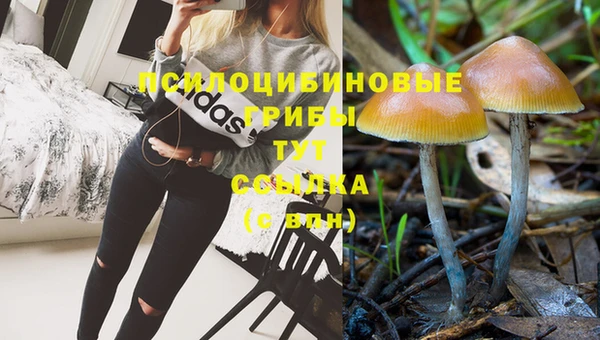 бутик Арсеньев