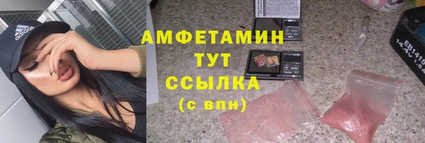 молекула духа Алексеевка